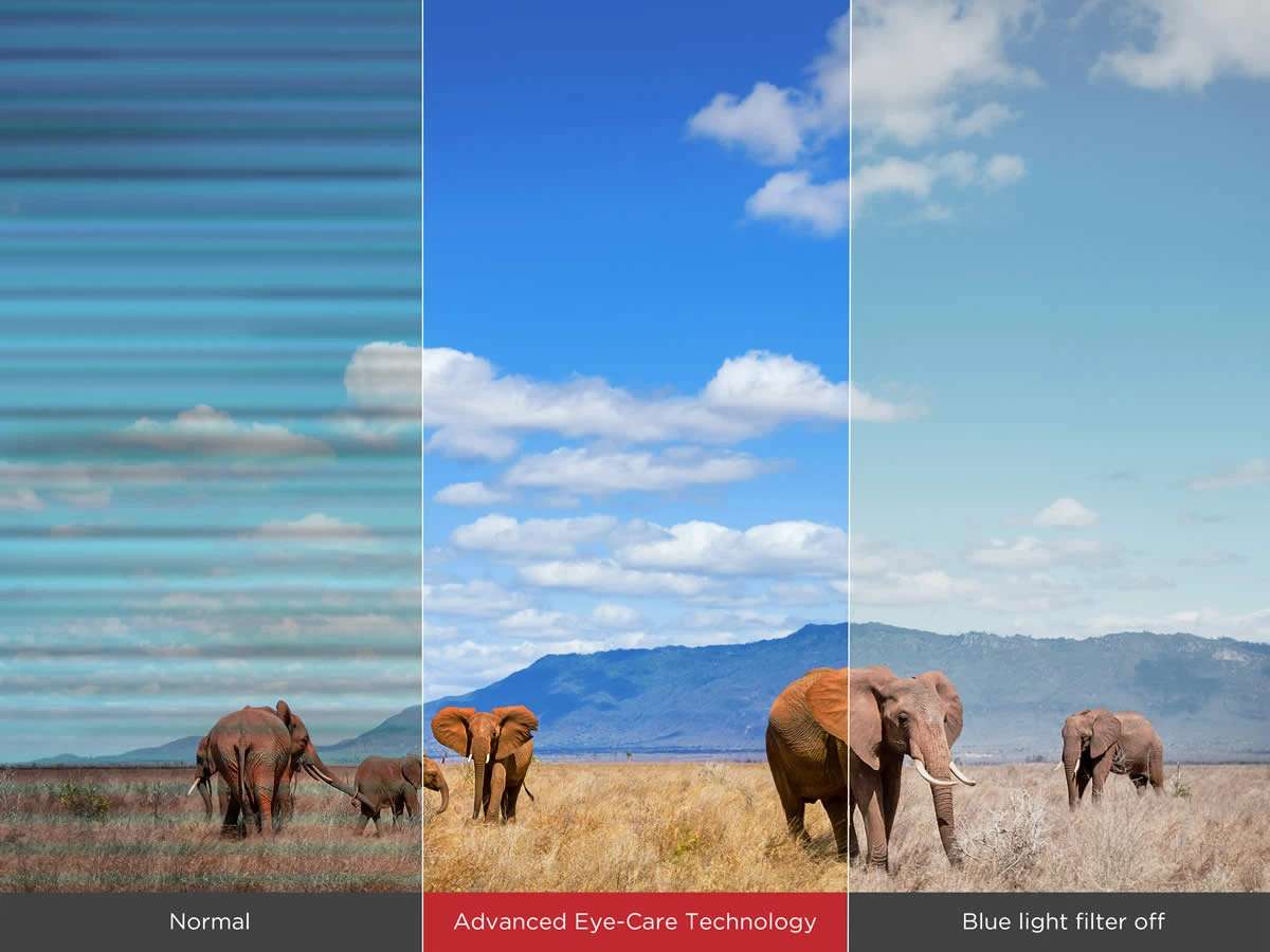 Màn hình tương tác ViewSonic ViewBoard IFP6553 65” 4K , Android 14, NFC, USB-C 100W, bút stylus đa màu